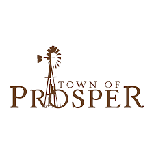 Payment Gateway Solutions in Prosper